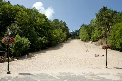a beach with people on the sand and trees at Zen in Schoorl in Schoorl