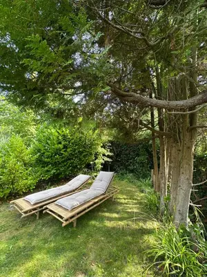 two lounge chairs under a tree in the grass at Zen in Schoorl in Schoorl