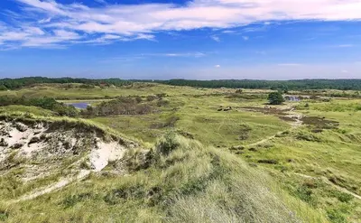 an aerial view of a grassy field with a river at Zen in Schoorl in Schoorl
