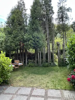 a park with a bench and trees and grass at Zen in Schoorl in Schoorl