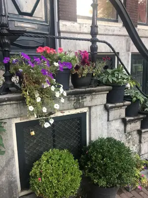 a bunch of potted plants on a wall at Unique Royal Basement residence in Amsterdam