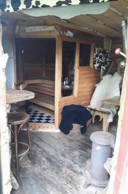 a black bear standing inside of a wooden house at de Vrijheid in Groet