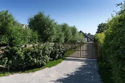 a wooden gate in a driveway with bushes at B&B Nieuwe Brug in Vijfhuizen