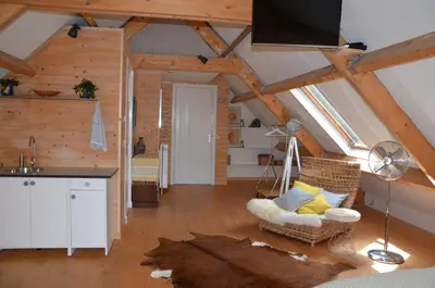 a living room with a kitchen and a living room with a ceiling at B&B Nieuwe Brug in Vijfhuizen