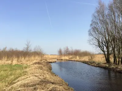 a small river in a field with trees and grass at Sitting at the Bay in Zuiderwoude