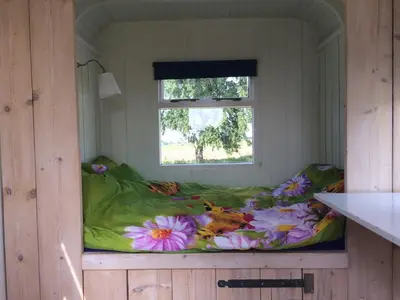 a flower bed in a room with a window at Sitting at the Bay in Zuiderwoude