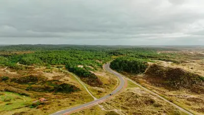 a road on the side of a hill with trees at Strandstudio's Camperduin in Schoorl