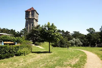 a tree in a field with a building in the background at Hotel Royal in IJmuiden