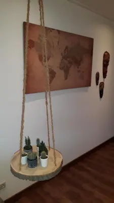 a hanging shelf with cactuses and plants on a wall at B & B De Gouwe Plek in Hoogwoud