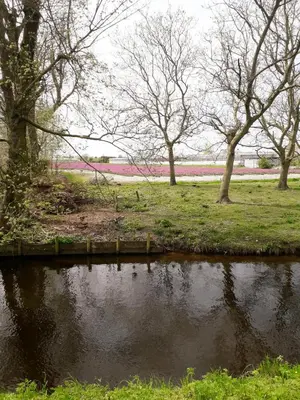 a pond in a park with trees and a field at B & B De Gouwe Plek in Hoogwoud