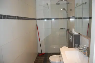 a bathroom with a shower and a toilet and a sink at De Willigen Logies in Vreeland