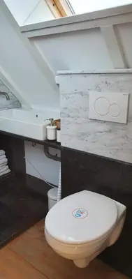 a bathroom with a white toilet in a attic at Sterrenhoeve in Castricum