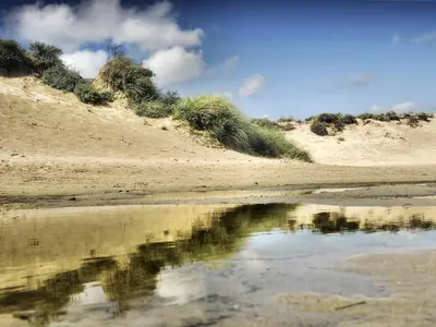 a reflection of the sky in the water on a beach at Holiday Home Stern Comfort-2 by Interhome in Noordwijk