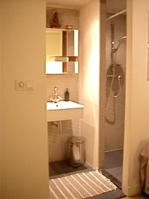 a bathroom with a sink and a shower at Amsterdam Lily apartment in Amsterdam