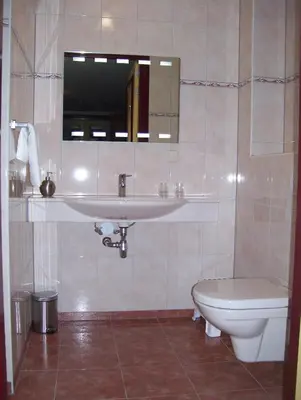 a bathroom with a sink and a toilet at Hoeve Meerzicht in Monnickendam