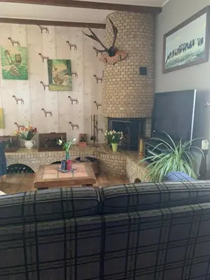 a living room with a couch and a fireplace at B&B De Kaagse Koe in Huigsloot