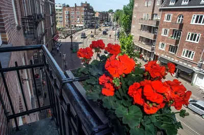 a bunch of red flowers in a planter on a balcony at Hotel Larende in Amsterdam