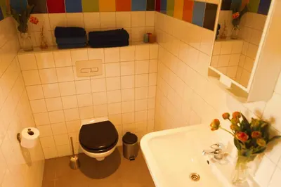 a bathroom with a black toilet and a sink at Tulpenhuys in Hoogmaden