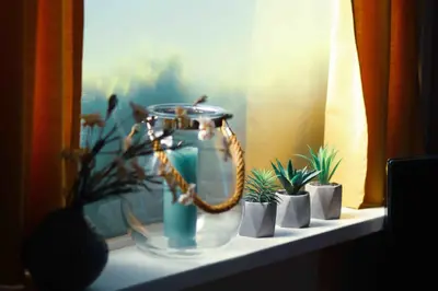 a glass vase sitting on a shelf with plants at Tulpenhuys in Hoogmaden