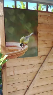 a yellow bird sitting on a bird feeder at De Zes Wielen in Alkmaar