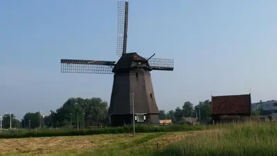 a windmill in a field next to a building at De Zes Wielen in Alkmaar