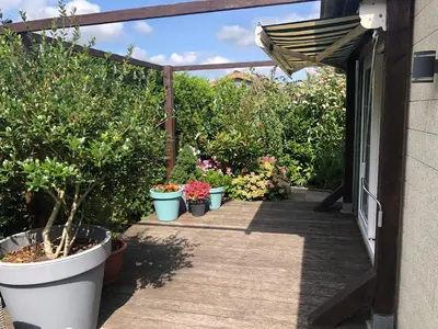 a patio with potted plants and a wooden walkway at chalet hensbroek in Hensbroek