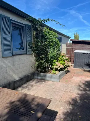 a house with a ivy growing on the side of it at chalet hensbroek in Hensbroek