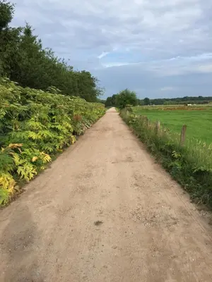 a dirt road next to a field of crops at De Schuilhoek Private Guesthouse in Blaricum