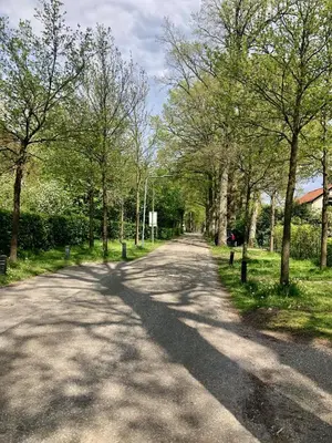 a road with trees on the sides of it at The Pool House in Den Dolder