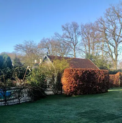 a hedge in front of a house with a fence at The Pool House in Den Dolder