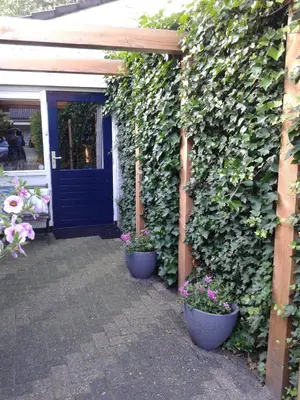 a entrance to a house with two potted plants at Casa Batavia B&B in Lelystad
