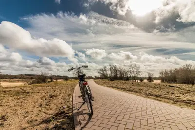 a bike parked on a path in a field at CHALETS IN THE DUNES nearby the beach in IJmuiden