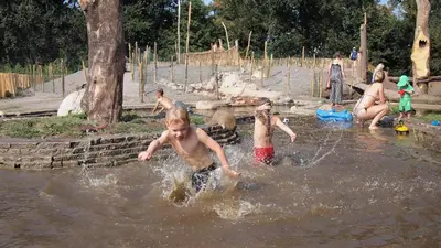 a group of children playing in the water at a water park at Amsterdam Farm Lodge in Amsterdam