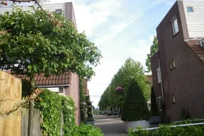 an empty street between two brick buildings with trees at B&B Bike Studio Amsterdam in Amsterdam