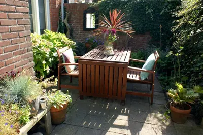 a table and chairs with a potted plant on a patio at Egmond aan Zee Vakantiehuisje in Egmond aan Zee