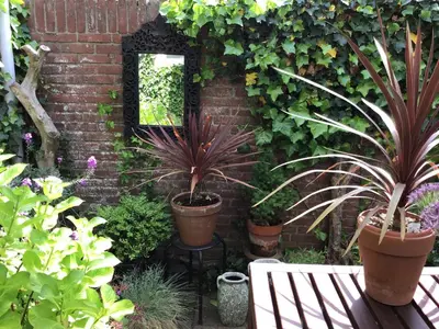 a garden with potted plants and a mirror on a brick wall at Egmond aan Zee Vakantiehuisje in Egmond aan Zee