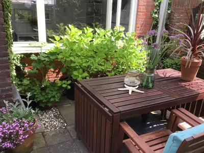 a wooden table with a starfish on it in a garden at Egmond aan Zee Vakantiehuisje in Egmond aan Zee