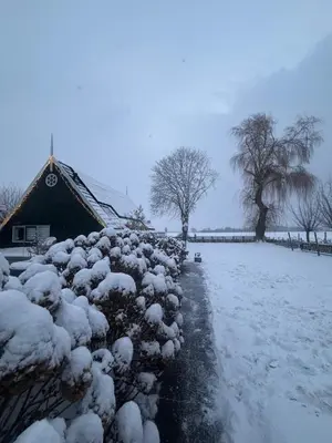 a hedge covered in snow next to a house at Vakantiehuis Het Uilennest in Wijdenes