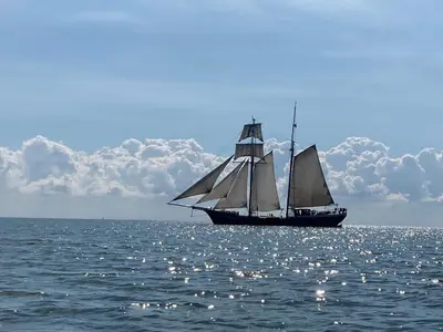 a sail boat in the ocean on the water at Vakantiehuis Het Uilennest in Wijdenes