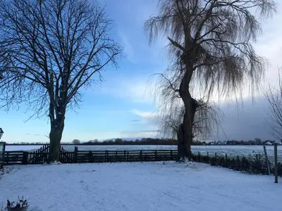two trees in the snow next to a fence at Vakantiehuis Het Uilennest in Wijdenes