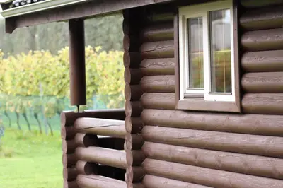 a window on the side of a log cabin at Wijngaard Saalhof in Wognum