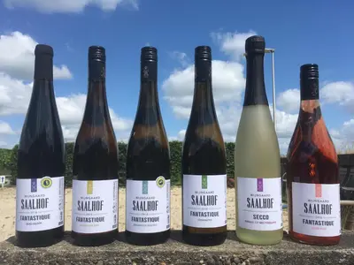 a group of wine bottles sitting next to each other at Wijngaard Saalhof in Wognum
