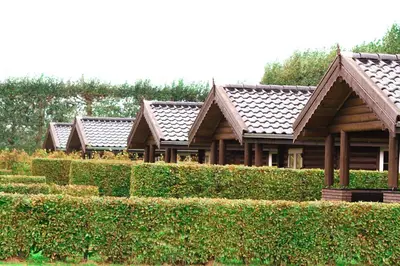a row of houses with roofs on top of a hedge at Wijngaard Saalhof in Wognum
