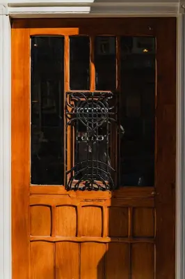 a dog in a cage on a wooden door at Hotel JL No76 in Amsterdam