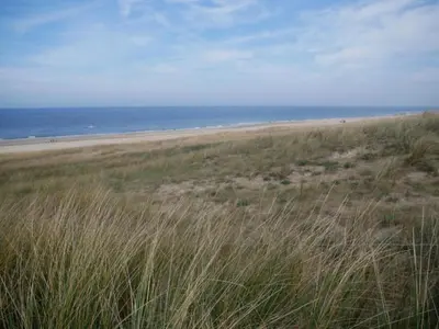a beach with a field of grass and the ocean at Apartment in North Holland in Bergen aan Zee
