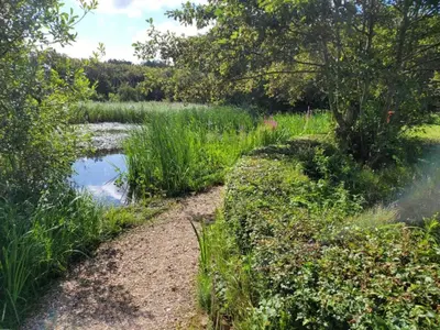 a path leading to a pond in a field at Apartment in North Holland in Bergen aan Zee