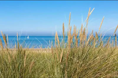a view of the ocean from a beach with tall grass at Viale in Egmond aan Zee