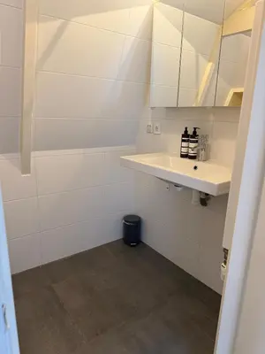 a bathroom with a sink and a mirror at Koningshof XL in Alkmaar