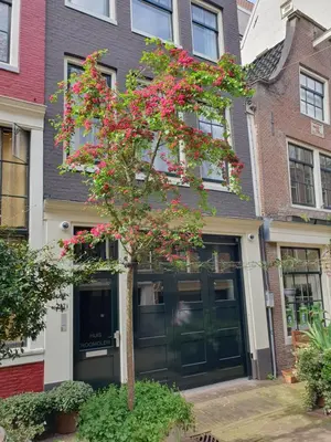 a tree with pink flowers in front of a building at Huis Roomolen in Amsterdam