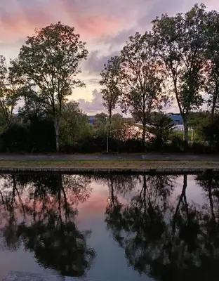a reflection of trees in a body of water at Logeren op Dijk43 in Broek op Langedijk